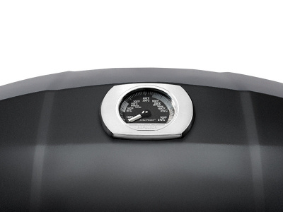 Газовый гриль NAPOLEON TravelQ PRO-285 (портативный) — купить с доставкой и консультацией