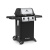 Газовый гриль Broil King Gem 310 — купить с доставкой и консультацией