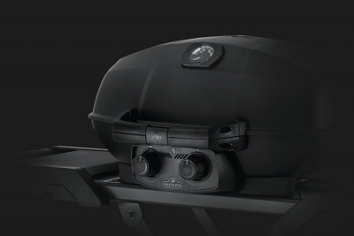 Газовый гриль NAPOLEON Мобильный TravelQ PRO-285X — купить с доставкой и консультацией