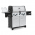 Газовый гриль Broil King Regal S590IR — купить с доставкой и консультацией